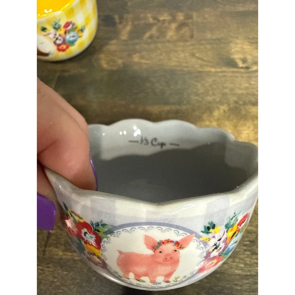 Pioneer Woman Stoneware Nesting Measuring Cup Set 4 Piece Floral Farmhouse NWOT